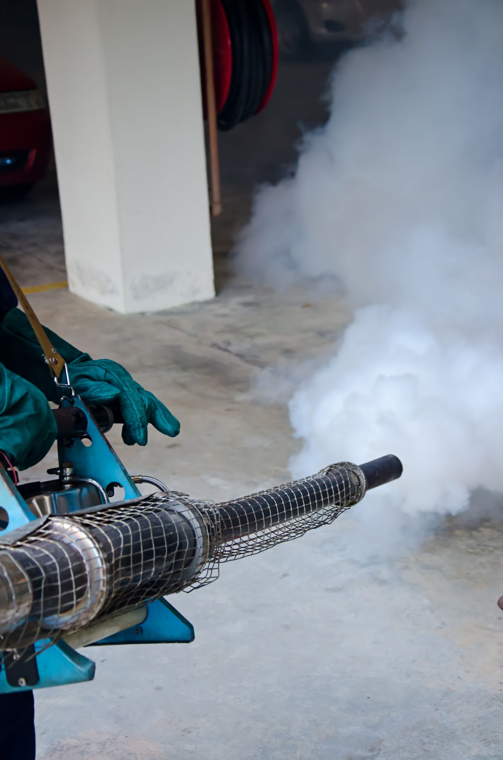 Finding A Pest Control Company For Hire Is Simple With Basic Guidelines